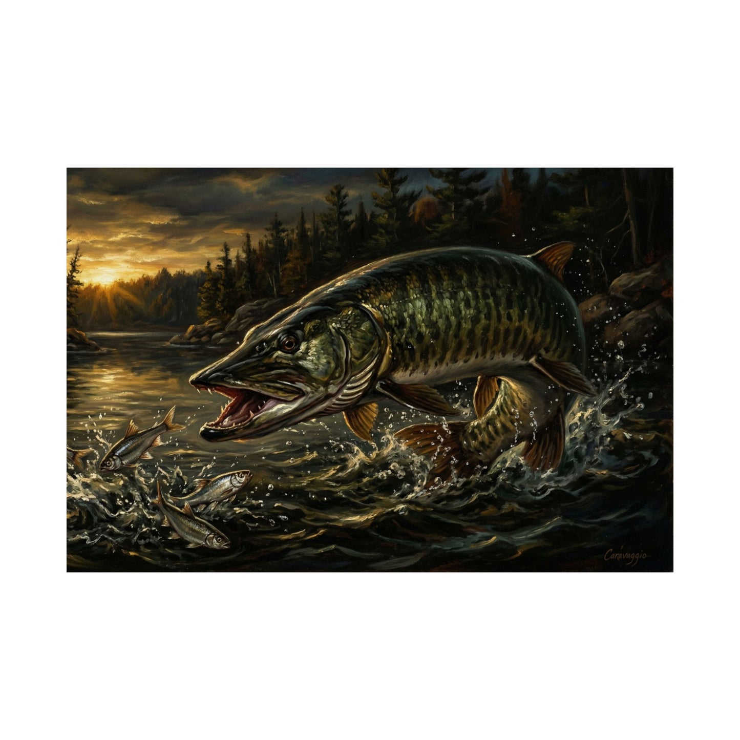 Muskie (Esox masquinongy) Wall Poster — Realistic Fishing Art Matte Horizontal Print