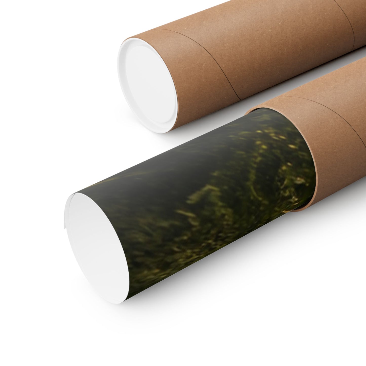 Largemouth Bass (Micropterus salmoides) in the Lily Pads — Matte Horizontal Wall Art for Anglers